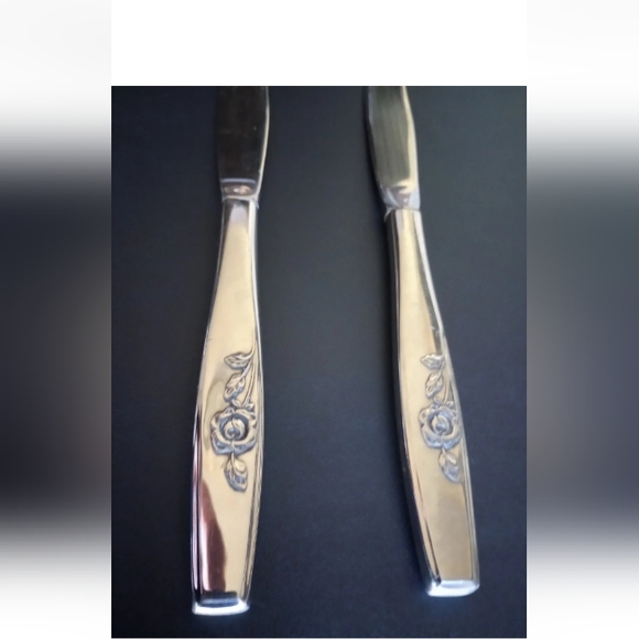 Oneida OUR ROSE Stainless 2 Dinner Knives SSS Scientific Glossy Flatware - Picture 4 of 7